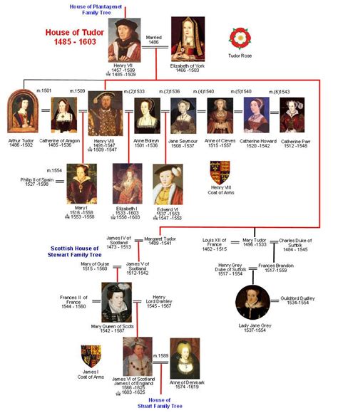 order of tudor monarchs|tudor succession order.